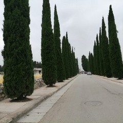 Interventi