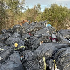 Scarti edili tra gli ulivi di Molfetta, scovata una discarica abusiva