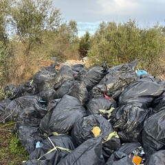 Scarti edili tra gli ulivi di Molfetta, scovata una discarica abusiva