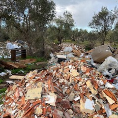 Scarti edili tra gli ulivi di Molfetta, scovata una discarica abusiva