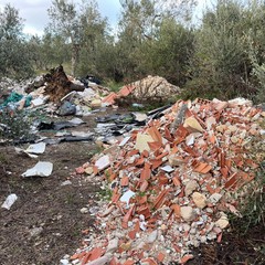 Scarti edili tra gli ulivi di Molfetta, scovata una discarica abusiva