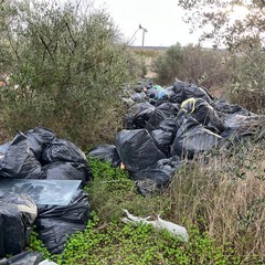 Scarti edili tra gli ulivi di Molfetta, scovata una discarica abusiva