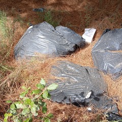 Discarica abusiva: abbandonati fra gli ulivi gli scarti dell'edilizia