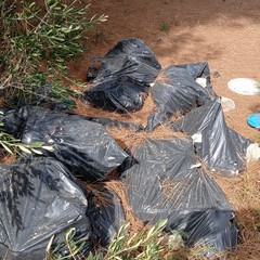 Discarica abusiva: abbandonati fra gli ulivi gli scarti dell'edilizia