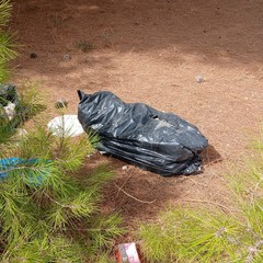 Discarica abusiva: abbandonati fra gli ulivi gli scarti dell'edilizia