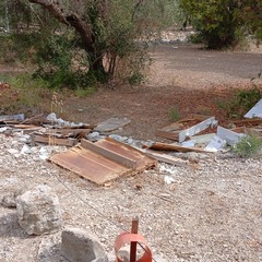 Discarica abusiva: abbandonati fra gli ulivi gli scarti dell'edilizia