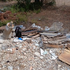 Discarica abusiva: abbandonati fra gli ulivi gli scarti dell'edilizia
