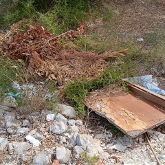 Discarica abusiva: abbandonati fra gli ulivi gli scarti dell'edilizia