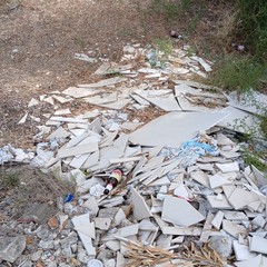 Discarica abusiva: abbandonati fra gli ulivi gli scarti dell'edilizia