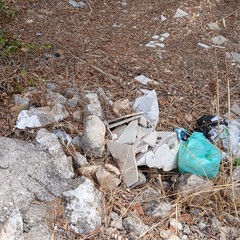 Discarica abusiva: abbandonati fra gli ulivi gli scarti dell'edilizia
