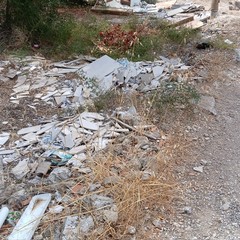 Discarica abusiva: abbandonati fra gli ulivi gli scarti dell'edilizia