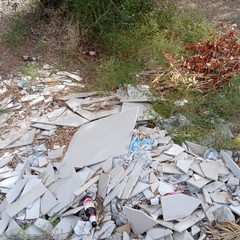 Discarica abusiva: abbandonati fra gli ulivi gli scarti dell'edilizia