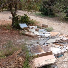 Discarica abusiva: abbandonati fra gli ulivi gli scarti dell'edilizia