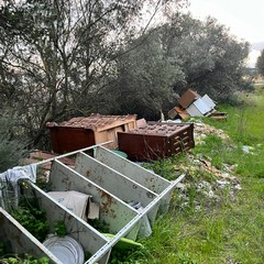 L'ennesima discarica tra gli ulivi nella zona artigianale di Molfetta
