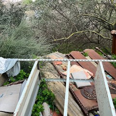 L'ennesima discarica tra gli ulivi nella zona artigianale di Molfetta