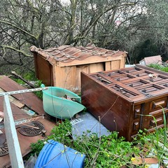 L'ennesima discarica tra gli ulivi nella zona artigianale di Molfetta