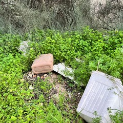 L'ennesima discarica tra gli ulivi nella zona artigianale di Molfetta