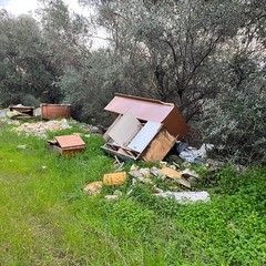 L'ennesima discarica tra gli ulivi nella zona artigianale di Molfetta