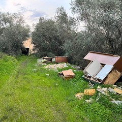 L'ennesima discarica tra gli ulivi nella zona artigianale di Molfetta