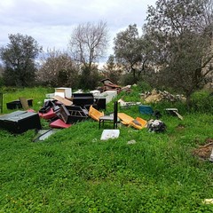 Scoperta un'altra maxi discarica abusiva nell'agro di Molfetta