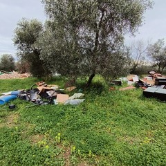 Scoperta un'altra maxi discarica abusiva nell'agro di Molfetta