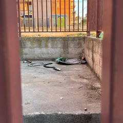 Sovrappasso pedonale, controlli potenziati da parte della Gepa
