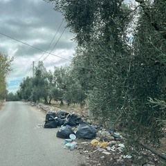A Molfetta due discariche a cielo aperto a pochi passi dal centro