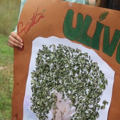 Camminata tra gli ulivi 2025, Lama Martina