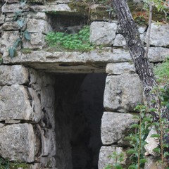 Camminata tra gli ulivi 2025, Lama Martina