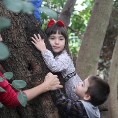 Camminata tra gli ulivi 2025, Lama Martina