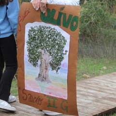 Camminata tra gli ulivi 2025, Lama Martina