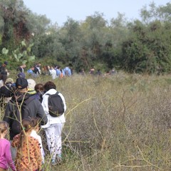 Camminata tra gli ulivi 2025, Lama Martina