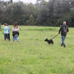 Camminata tra gli ulivi 2025, Lama Martina