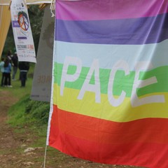 Camminata tra gli ulivi 2025, Lama Martina