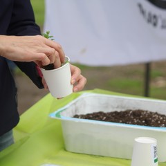 Camminata tra gli ulivi 2025, Lama Martina