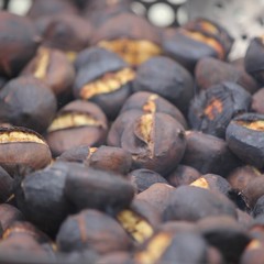 Camminata tra gli ulivi 2025, Lama Martina