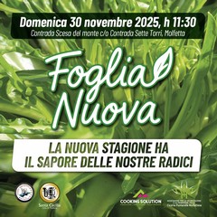 Cicoria Puntarelle Molfettese