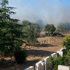 Incendio Lama