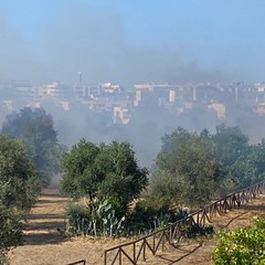 Incendio Lama