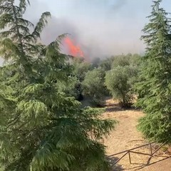 Incendio Lama Martina