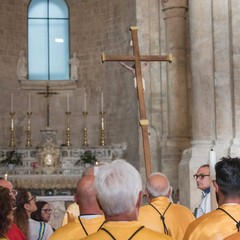 La festa di San Corrado a Molfetta