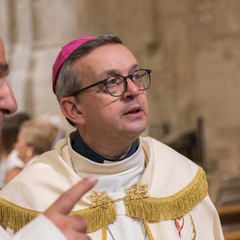 La festa di San Corrado a Molfetta