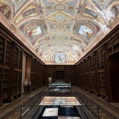 La mostra di Raffaele Cappelluti