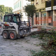 Lavori a Corso Umberto