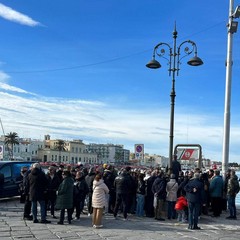 Liberazione tartarughe