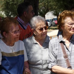 LIberazione tartarughe