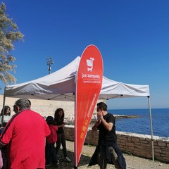 Liberazione tartarughe a Molfetta