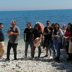 Liberazione tartarughe a Molfetta