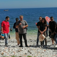 Liberazione tartarughe a Molfetta