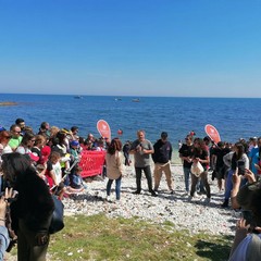 Liberazione tartarughe a Molfetta